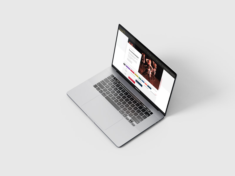 mockup-cases-auroralokerenbe-3